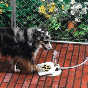 Pawdle StepSip — Outdoor Paw-Activated Dog Water Fountain