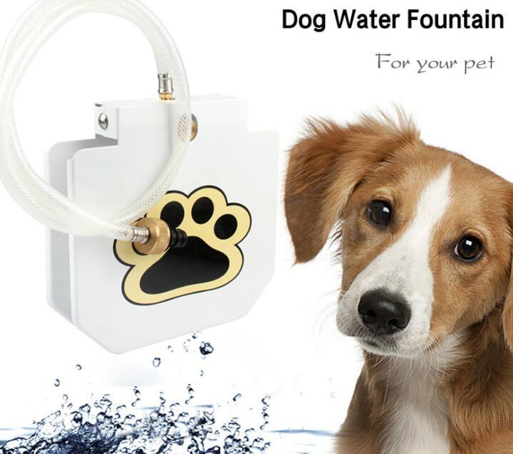 Pawdle StepSip — Outdoor Paw-Activated Dog Water Fountain