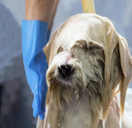 Pawdle ShedPaws — Five-Finger Pet Grooming & De-Shedding Gloves